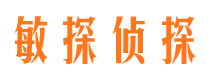 镇康市婚外情调查